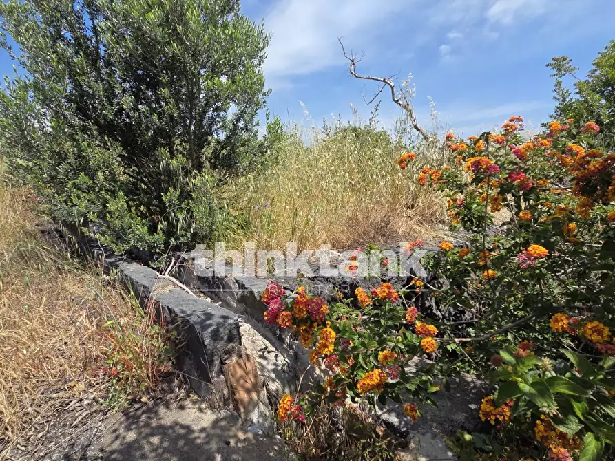 Immagine 12 di Terreno agricolo in vendita  in Via Biscari a Aci Castello