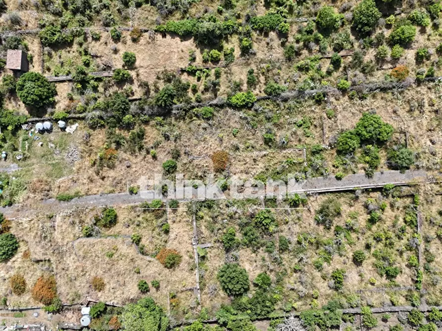 Immagine 4 di Terreno agricolo in vendita  in Via Biscari a Aci Castello