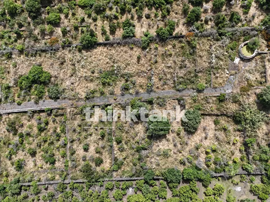 Immagine 5 di Terreno agricolo in vendita  in Via Biscari a Aci Castello