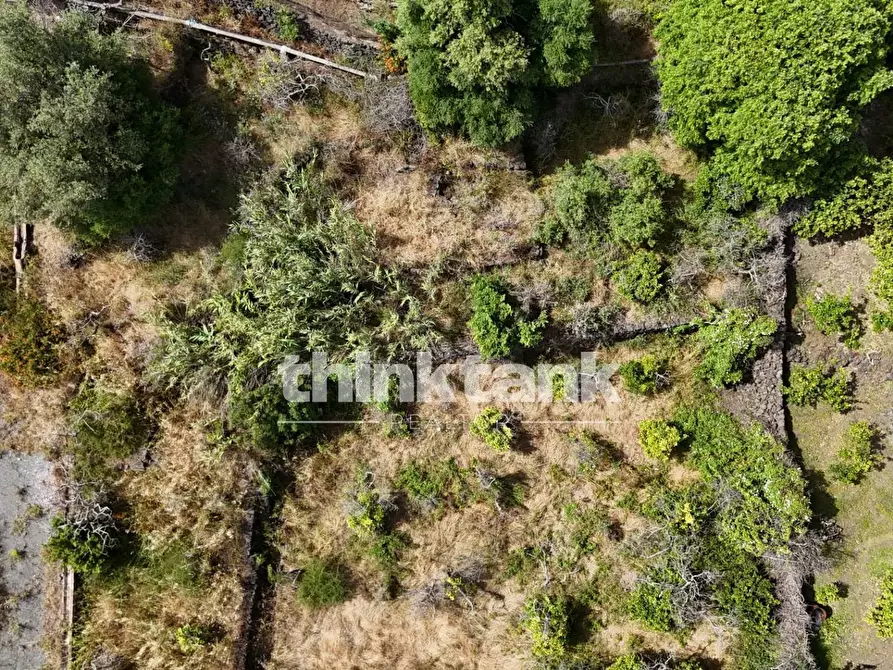 Immagine 6 di Terreno agricolo in vendita  in Via Biscari a Aci Castello