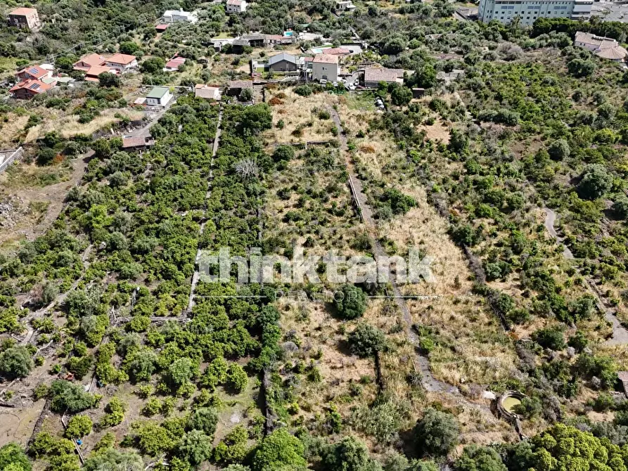 Immagine 7 di Terreno agricolo in vendita  in Via Biscari a Aci Castello