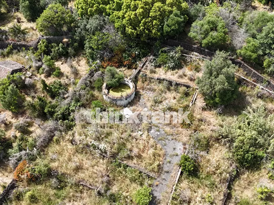 Immagine 8 di Terreno agricolo in vendita  in Via Biscari a Aci Castello