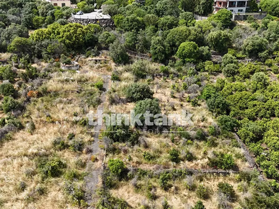Immagine 9 di Terreno agricolo in vendita  in Via Biscari a Aci Castello