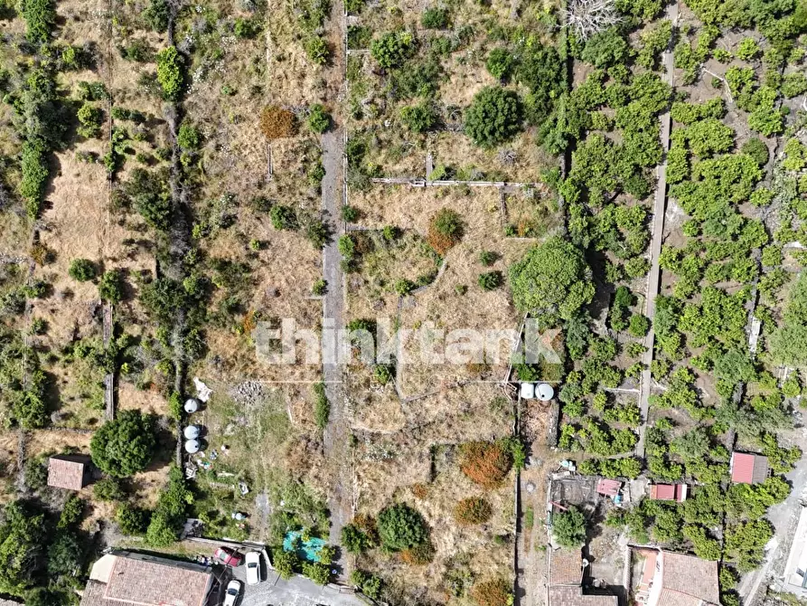 Immagine 13 di Terreno agricolo in vendita  in Via Biscari a Aci Castello