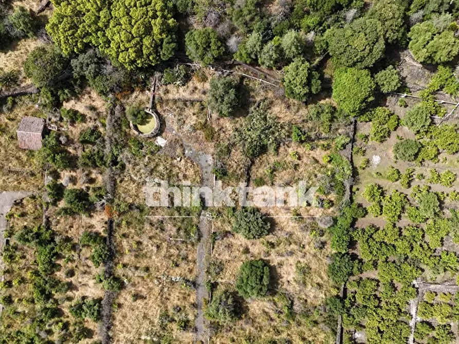 Immagine 14 di Terreno agricolo in vendita  in Via Biscari a Aci Castello