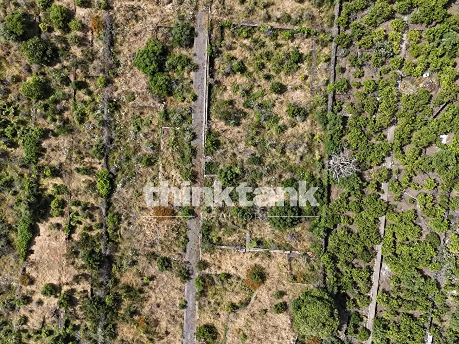 Immagine 15 di Terreno agricolo in vendita  in Via Biscari a Aci Castello