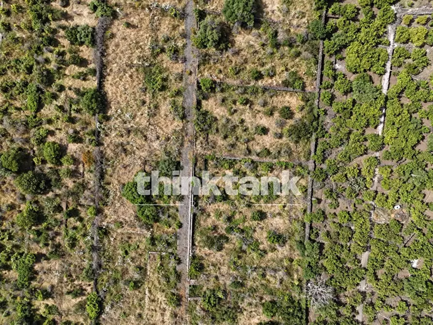 Immagine 16 di Terreno agricolo in vendita  in Via Biscari a Aci Castello