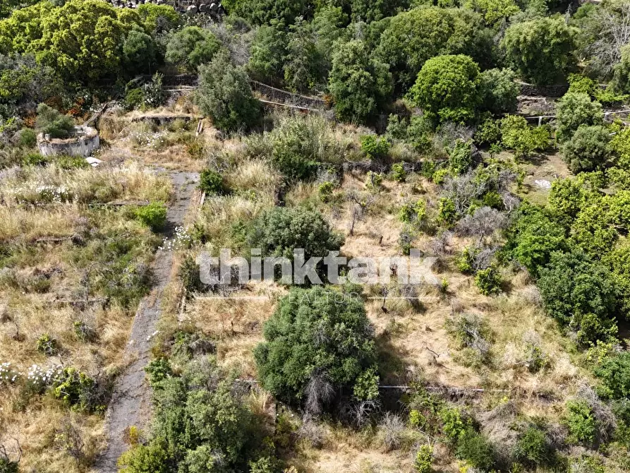 Immagine 18 di Terreno agricolo in vendita  in Via Biscari a Aci Castello