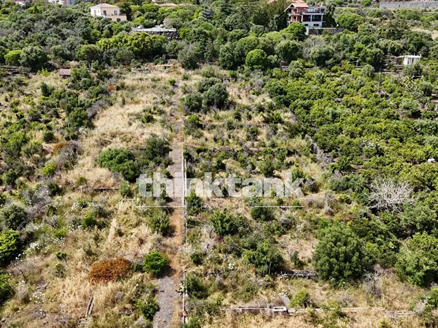 Immagine 19 di Terreno agricolo in vendita  in Via Biscari a Aci Castello
