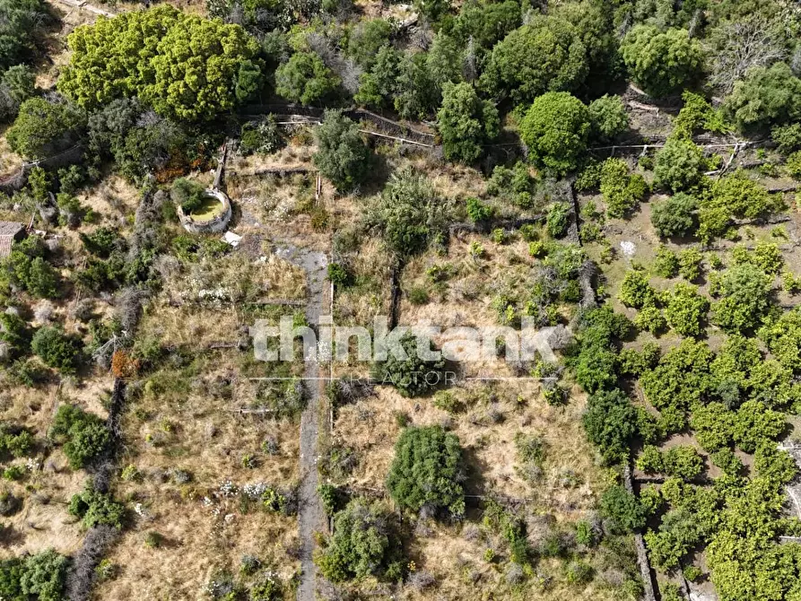 Immagine 20 di Terreno agricolo in vendita  in Via Biscari a Aci Castello