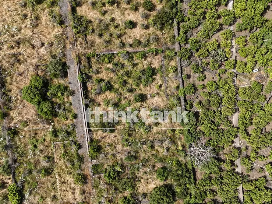 Immagine 21 di Terreno agricolo in vendita  in Via Biscari a Aci Castello