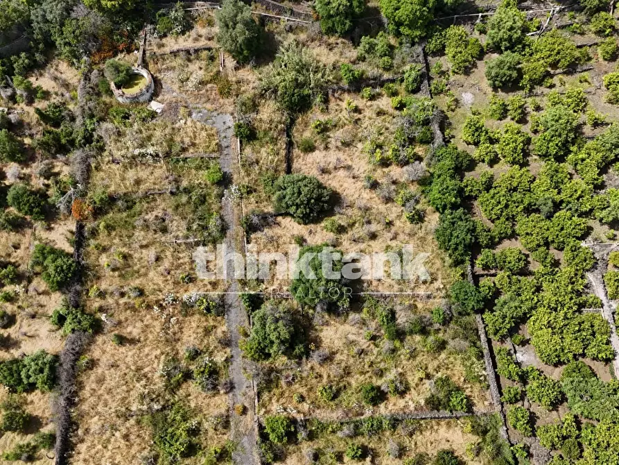 Immagine 22 di Terreno agricolo in vendita  in Via Biscari a Aci Castello