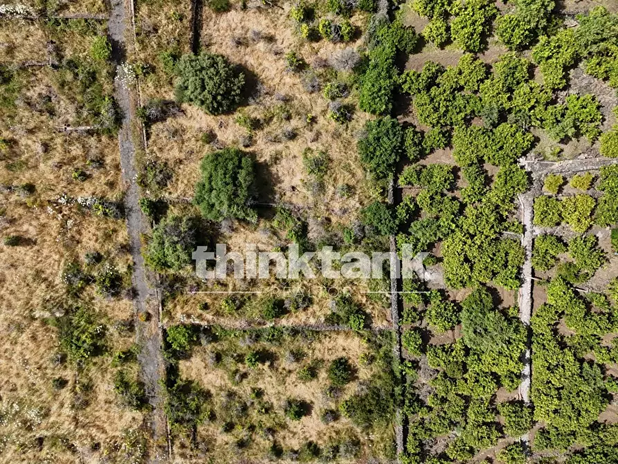 Immagine 23 di Terreno agricolo in vendita  in Via Biscari a Aci Castello