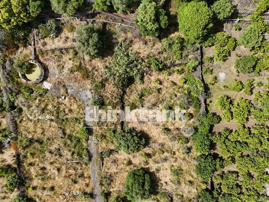 Immagine 24 di Terreno agricolo in vendita  in Via Biscari a Aci Castello