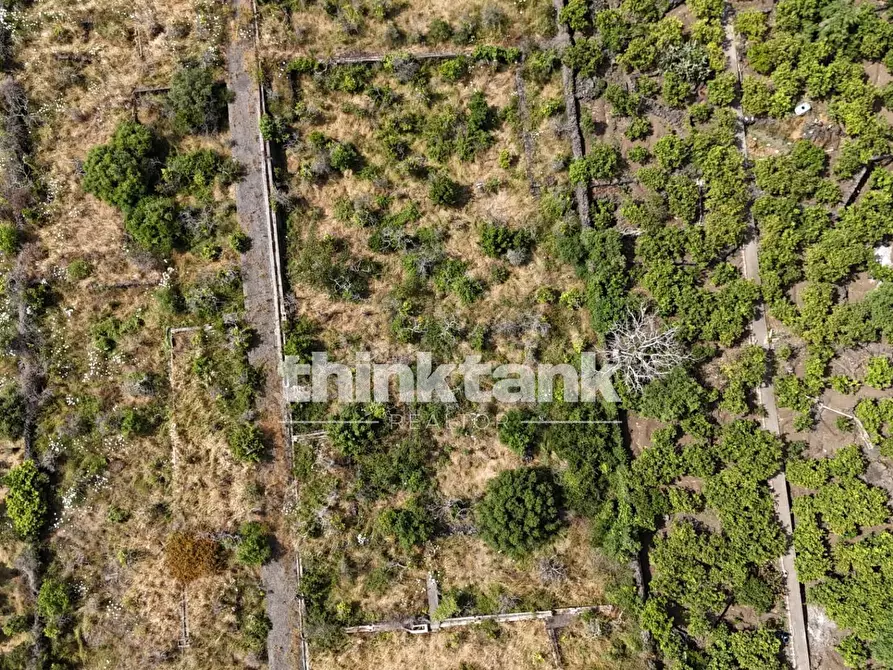 Immagine 25 di Terreno agricolo in vendita  in Via Biscari a Aci Castello