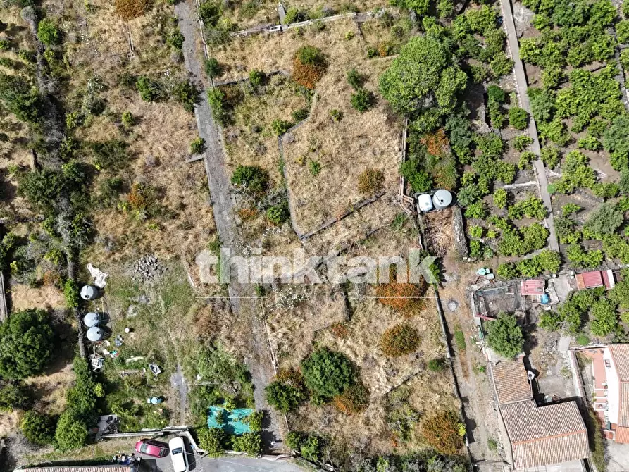 Immagine 26 di Terreno agricolo in vendita  in Via Biscari a Aci Castello
