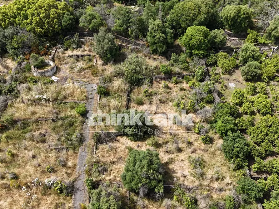 Immagine 27 di Terreno agricolo in vendita  in Via Biscari a Aci Castello