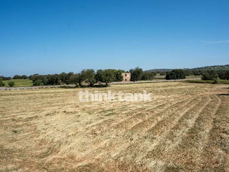 Immagine 39 di Rustico / casale in vendita  in Contrada Stanislao SNC a Ragusa