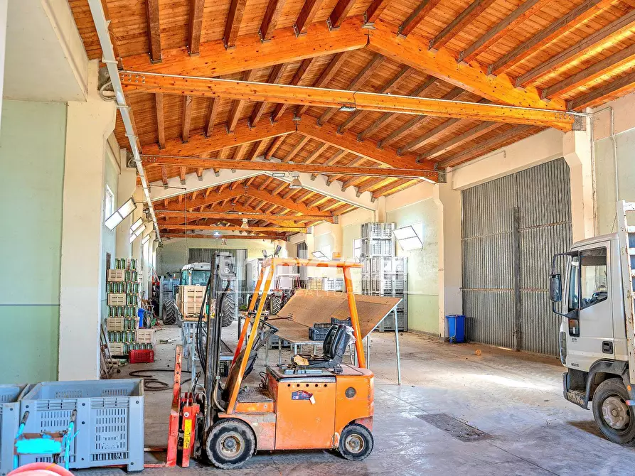 Immagine 63 di Rustico / casale in vendita  in Contrada Miucia a Ispica