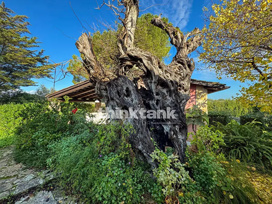 Immagine 52 di Villa in vendita  in Via per Canicattini a Siracusa
