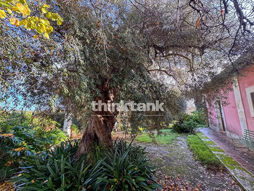 Immagine 64 di Villa in vendita  in Via per Canicattini a Siracusa