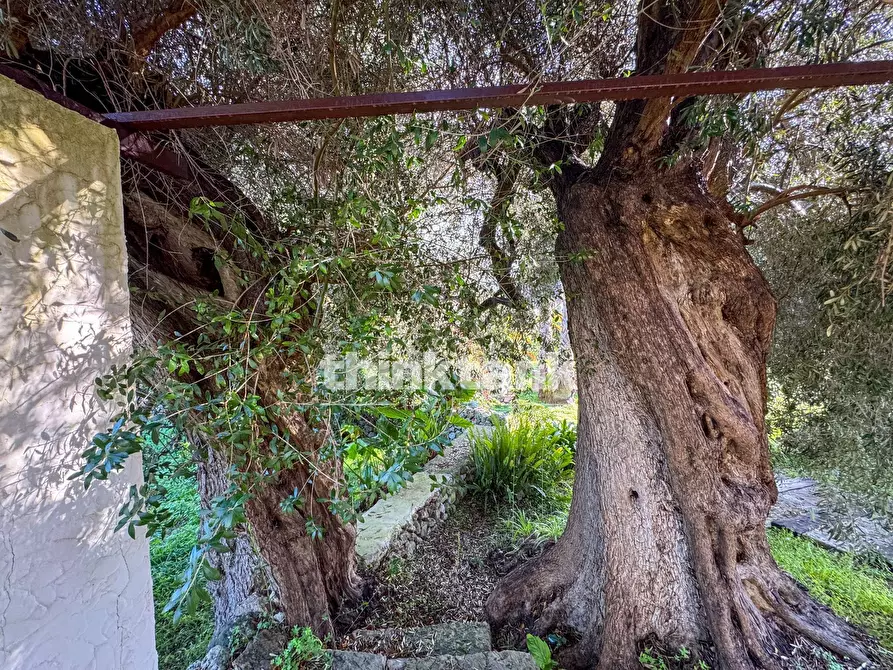 Immagine 72 di Villa in vendita  in Via per Canicattini a Siracusa