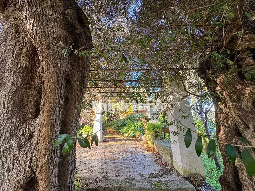 Immagine 71 di Villa in vendita  in Via per Canicattini a Siracusa