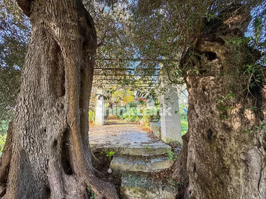 Immagine 53 di Villa in vendita  in Via per Canicattini a Siracusa