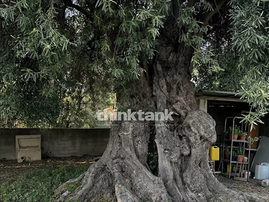 Immagine 5 di Villa in vendita  in Strada Comunale Petrara a Avola