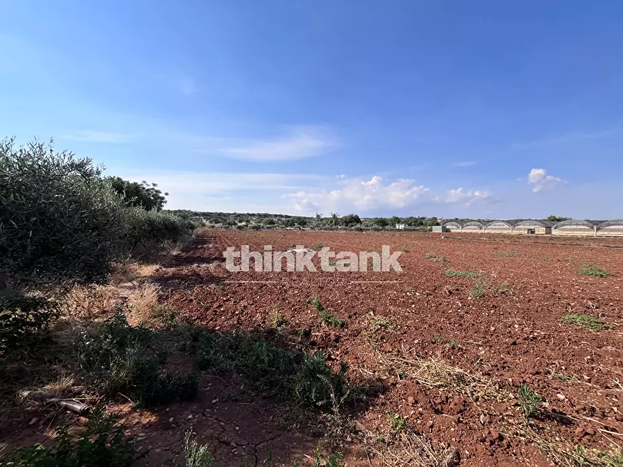Immagine 6 di Terreno residenziale in vendita  in Strada Provinciale 44 a Scicli