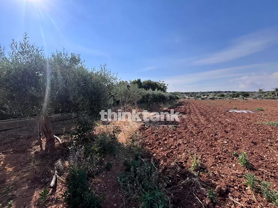 Immagine 7 di Terreno residenziale in vendita  in Strada Provinciale 44 a Scicli