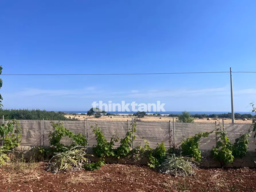 Immagine 3 di Terreno residenziale in vendita  in Strada Provinciale 44 a Scicli