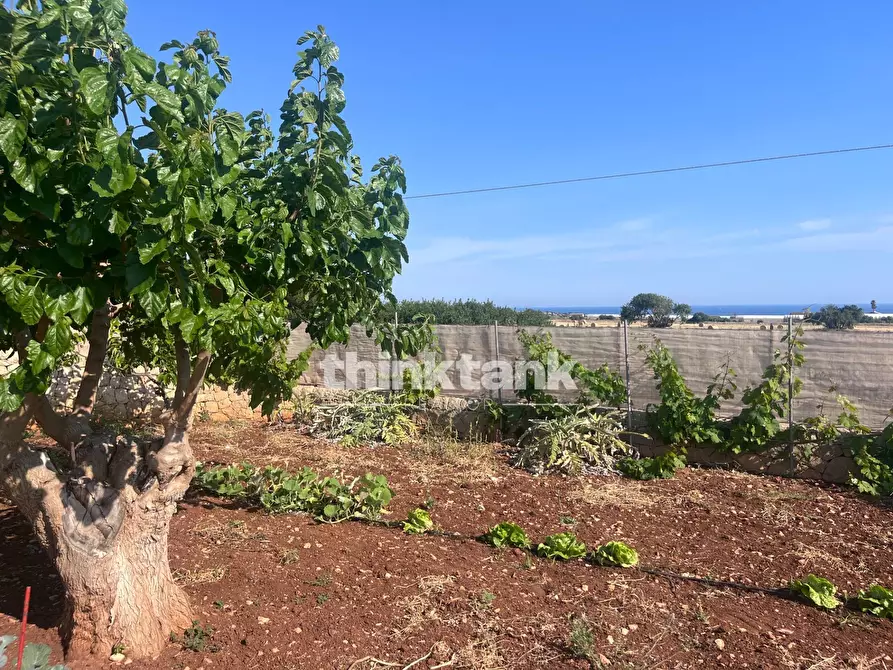 Immagine 2 di Terreno residenziale in vendita  in Strada Provinciale 44 a Scicli