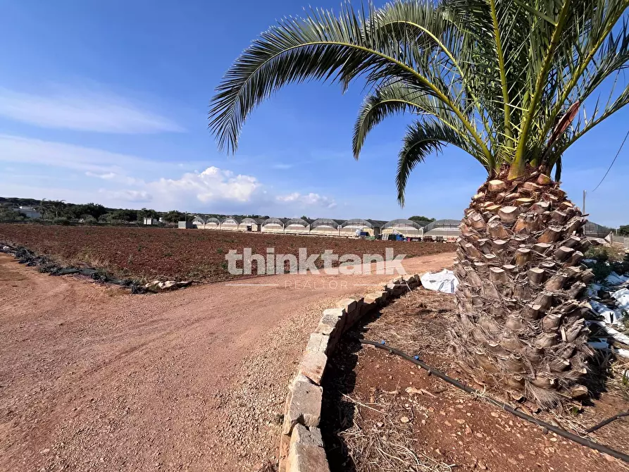 Immagine 12 di Terreno residenziale in vendita  in Strada Provinciale 44 a Scicli
