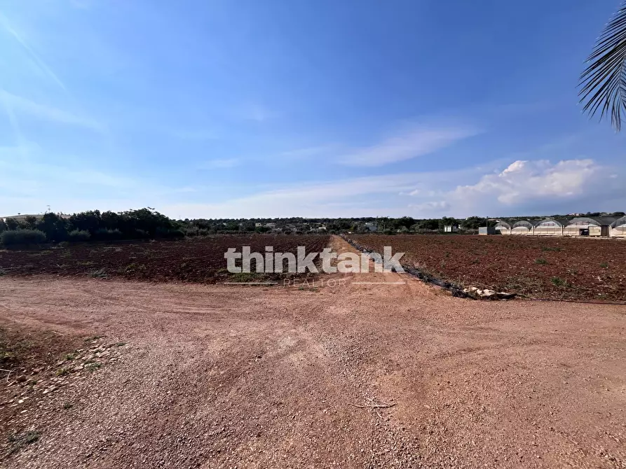 Immagine 14 di Terreno residenziale in vendita  in Strada Provinciale 44 a Scicli