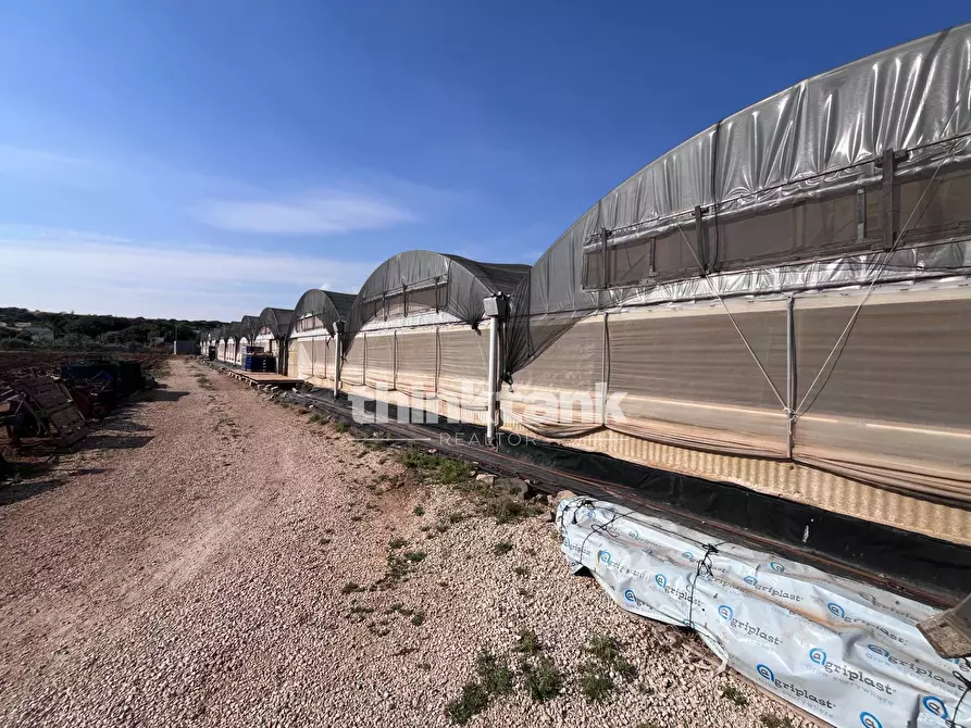 Immagine 18 di Terreno residenziale in vendita  in Strada Provinciale 44 a Scicli