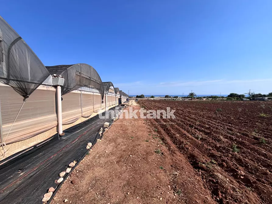 Immagine 17 di Terreno residenziale in vendita  in Strada Provinciale 44 a Scicli