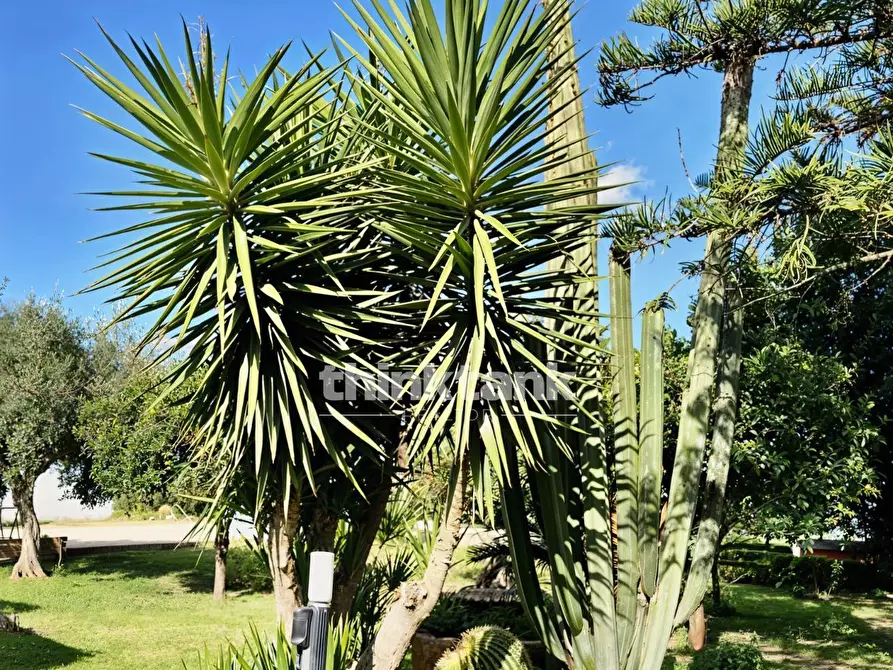 Immagine 4 di Villa in vendita  in Via traversa bonavia a Siracusa