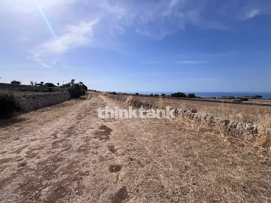 Immagine 6 di Terreno agricolo in vendita  in Contrada Mangiabove a Ragusa
