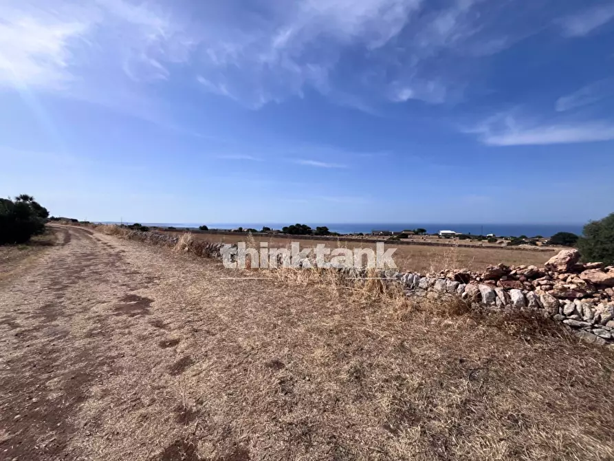 Immagine 7 di Terreno agricolo in vendita  in Contrada Mangiabove a Ragusa
