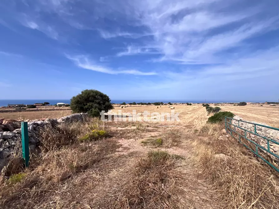 Immagine 11 di Terreno agricolo in vendita  in Contrada Mangiabove a Ragusa