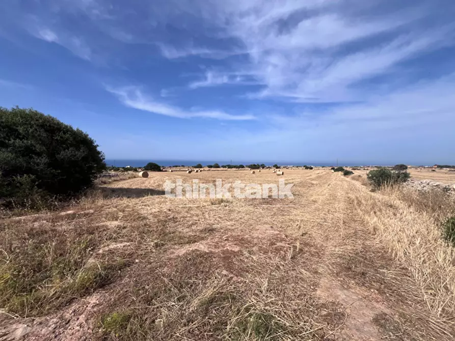 Immagine 13 di Terreno agricolo in vendita  in Contrada Mangiabove a Ragusa