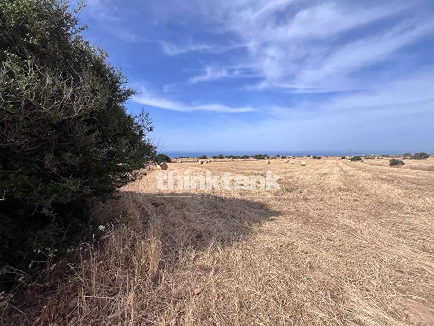 Immagine 14 di Terreno agricolo in vendita  in Contrada Mangiabove a Ragusa
