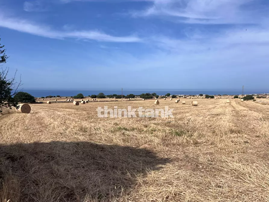 Immagine 15 di Terreno agricolo in vendita  in Contrada Mangiabove a Ragusa