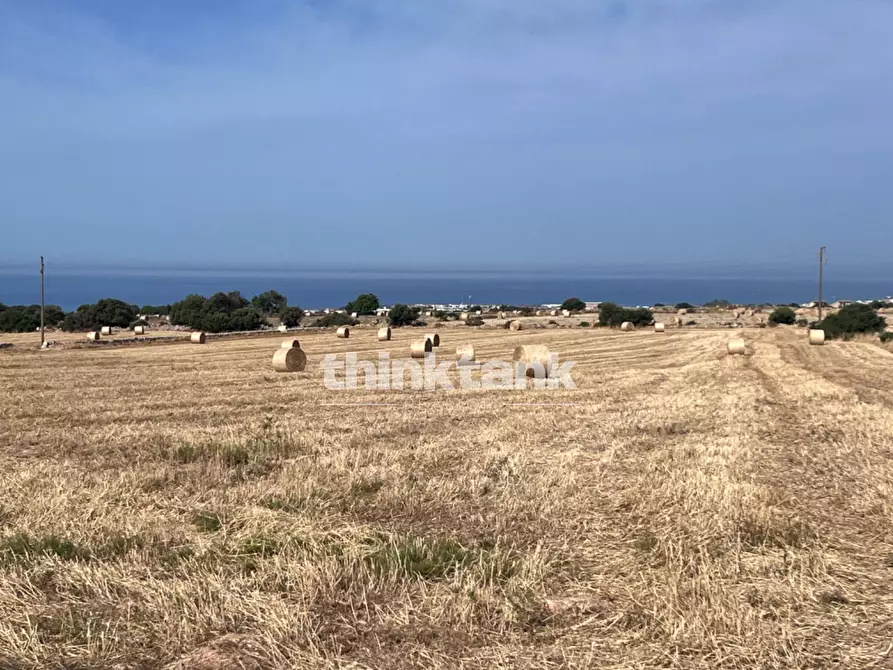 Immagine 16 di Terreno agricolo in vendita  in Contrada Mangiabove a Ragusa
