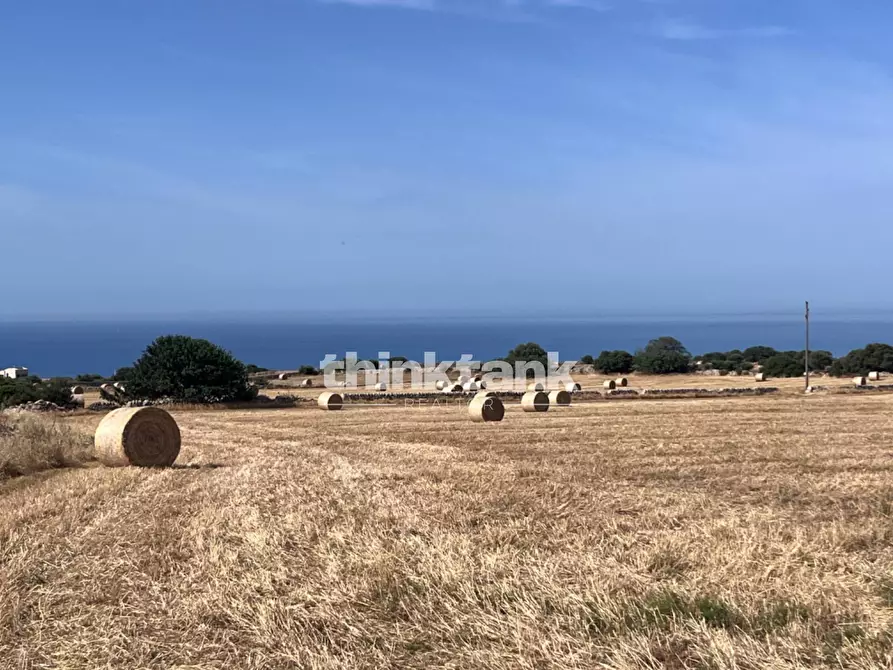 Immagine 17 di Terreno agricolo in vendita  in Contrada Mangiabove a Ragusa