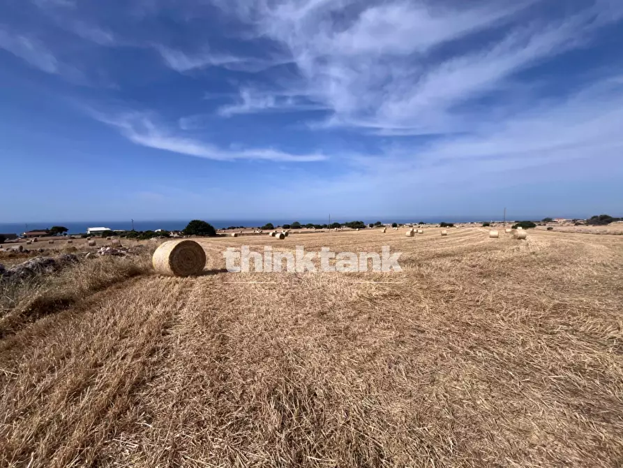 Immagine 18 di Terreno agricolo in vendita  in Contrada Mangiabove a Ragusa