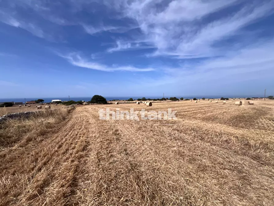 Immagine 20 di Terreno agricolo in vendita  in Contrada Mangiabove a Ragusa