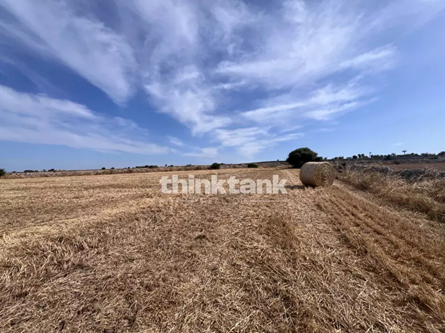 Immagine 22 di Terreno agricolo in vendita  in Contrada Mangiabove a Ragusa