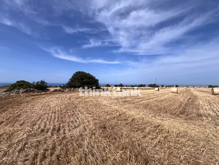 Immagine 23 di Terreno agricolo in vendita  in Contrada Mangiabove a Ragusa